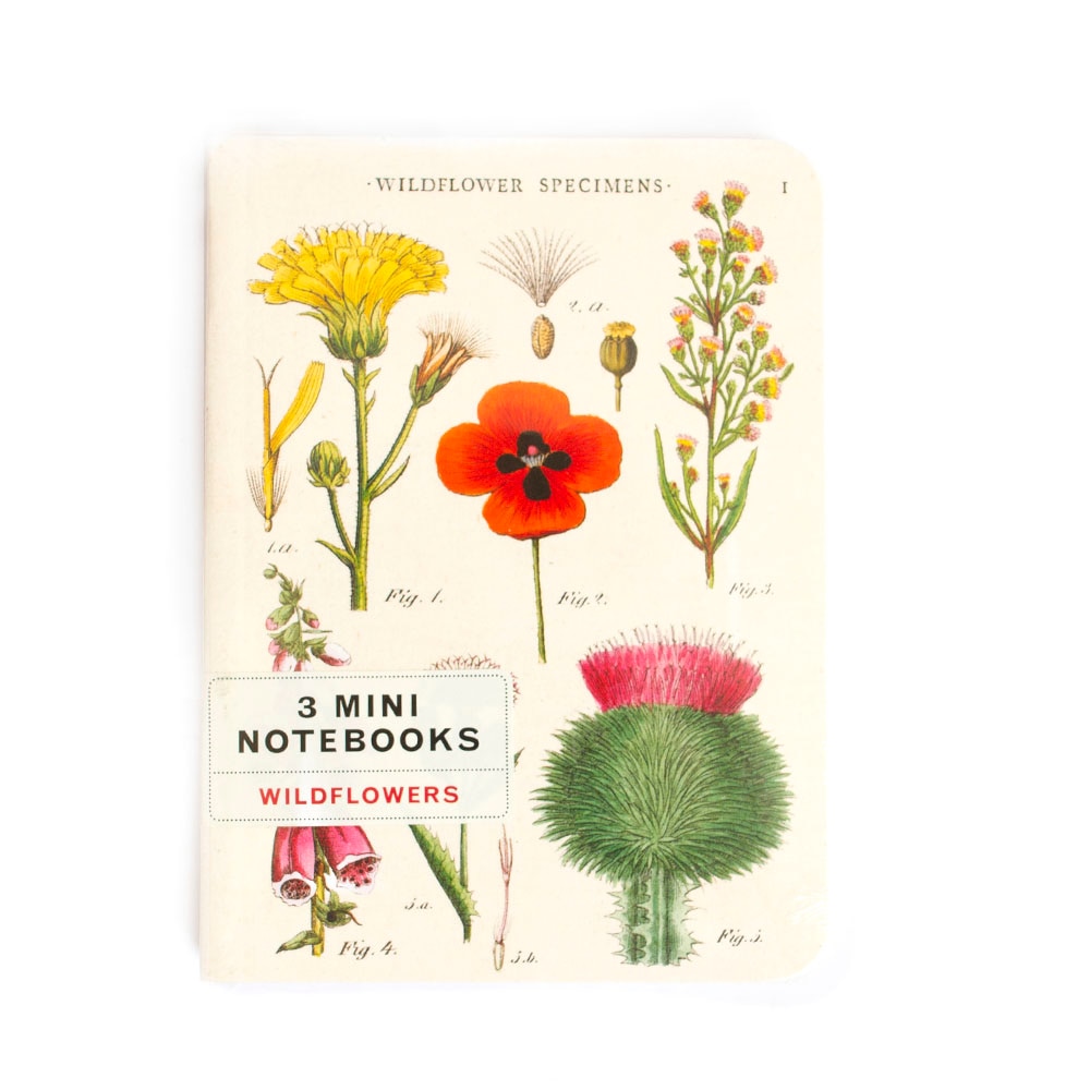 Cavallini, Mini Notebook, Set, 4"x5.5", Wildflowers